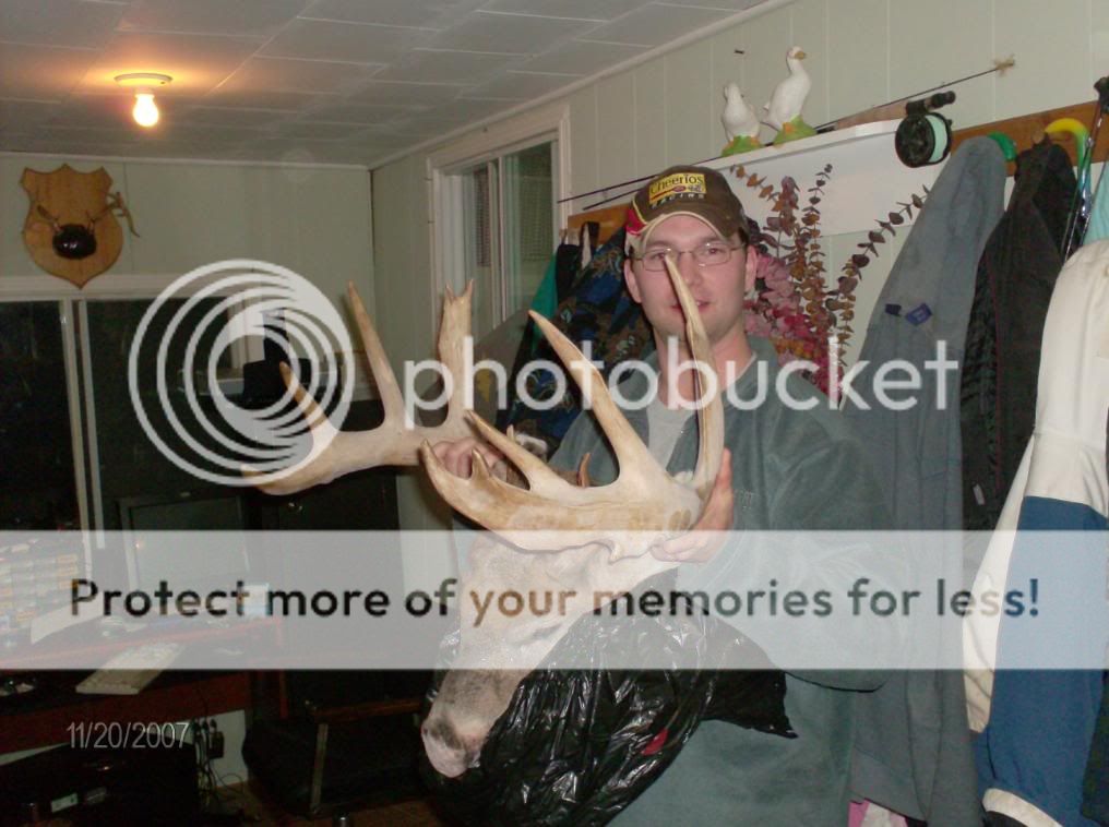 nicks_buck_004.jpg