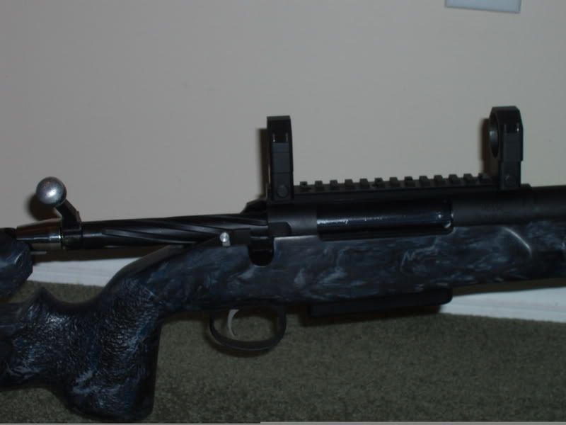 338005.jpg