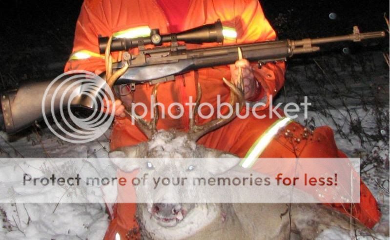 M14docsriflestock.jpg