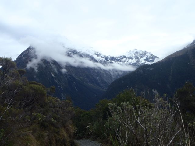 P5090729.jpg