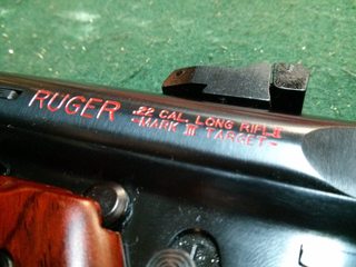 zWMLX7zm.jpg