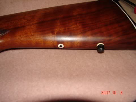 DSC03676.jpg