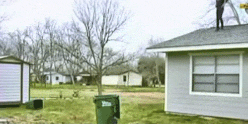 tumblr_lnqas0s2Dh1qg39ewo1_500.gif