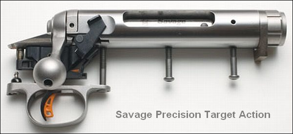 savagetargetactionx600.jpg