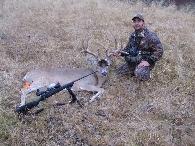 2005wmu337whitetail5.jpg