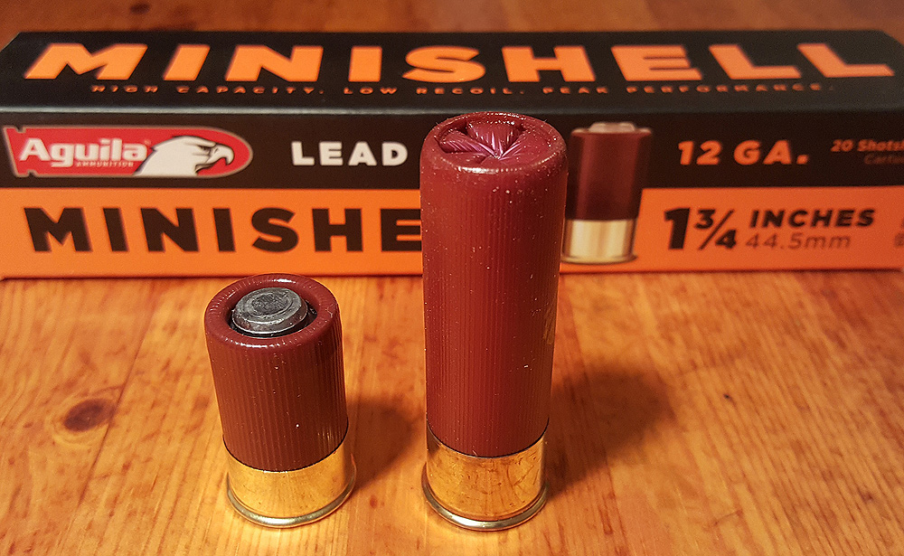 Aguila_Mini_Shell.jpg
