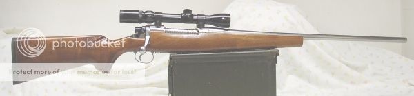 1917_Enfield_sporter.jpg