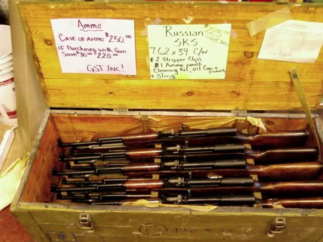 sks2.jpg