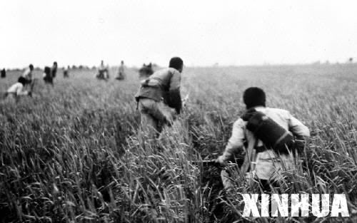 xinsrc_12208021018450621744173.jpg