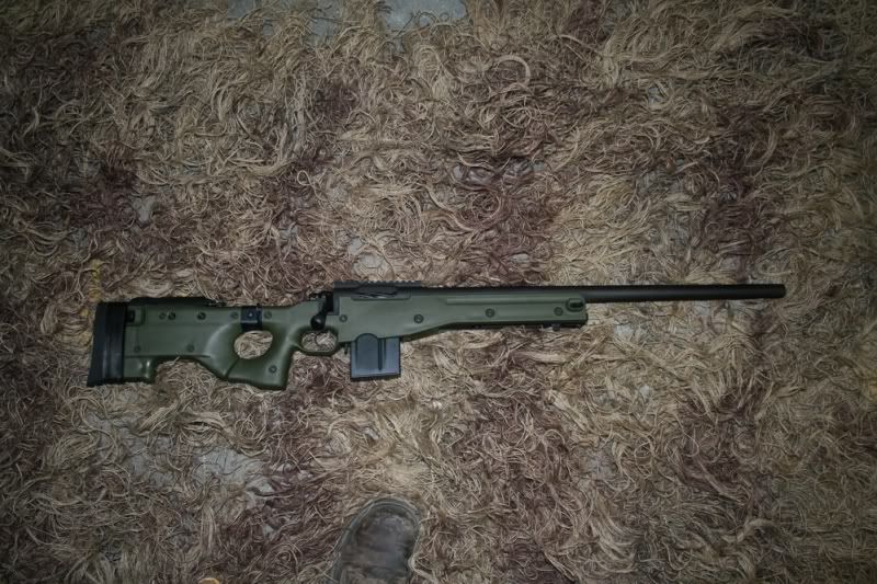 AI308.jpg