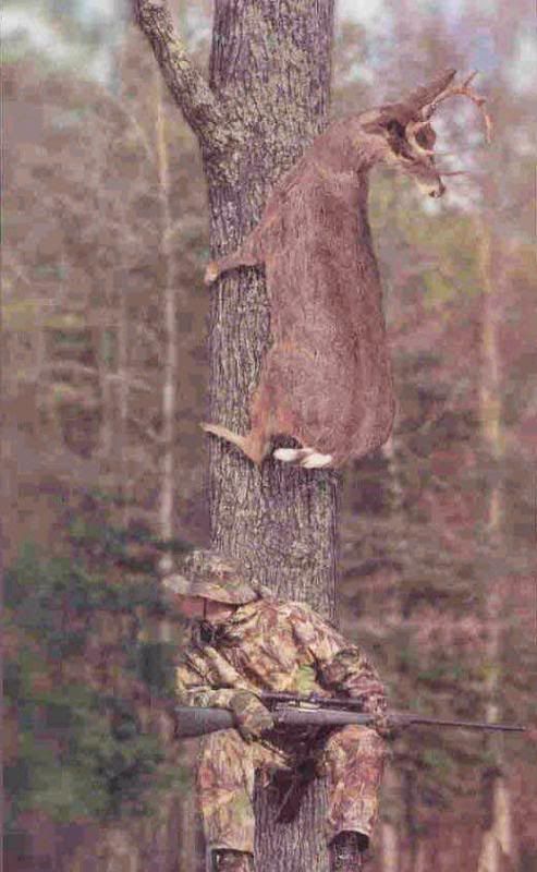 9574614hunting1.jpg