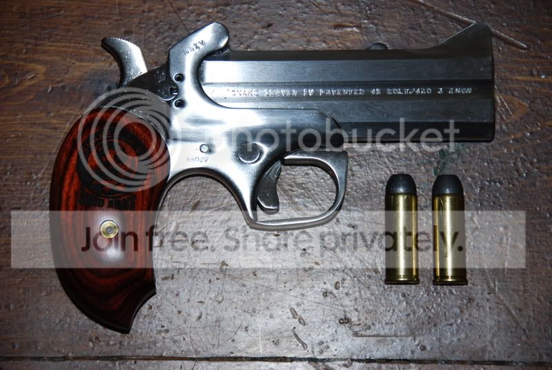 Guns08032.jpg