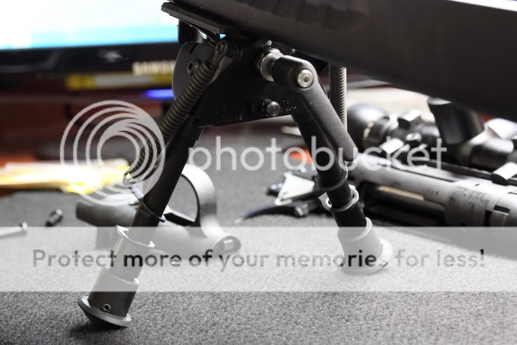 _MG_6122.jpg