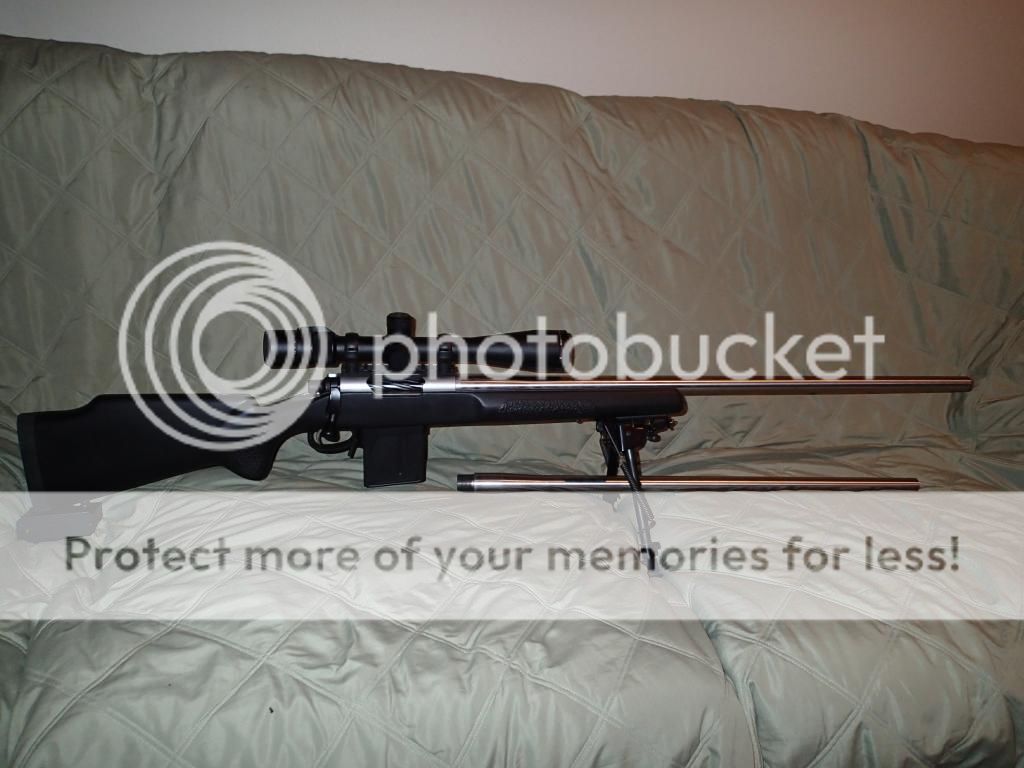 PB030020_zps22b6c7de.jpg
