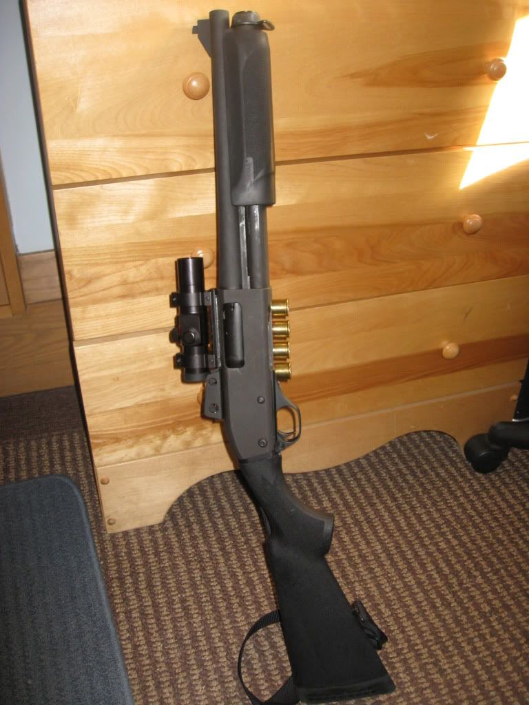 005-1.jpg