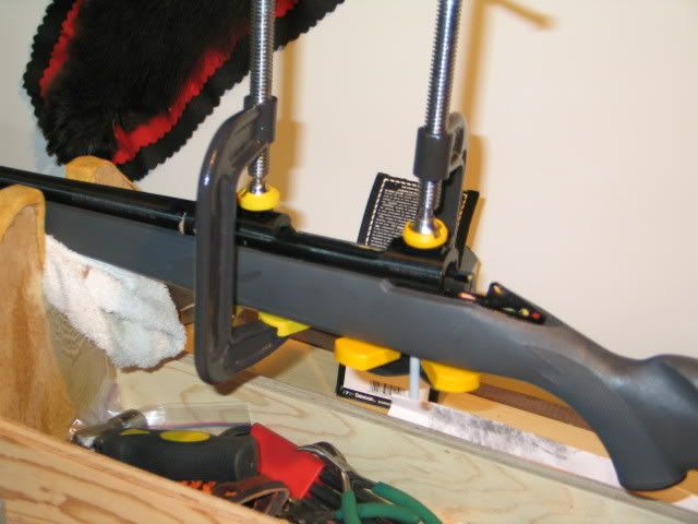 Bedding0015.jpg