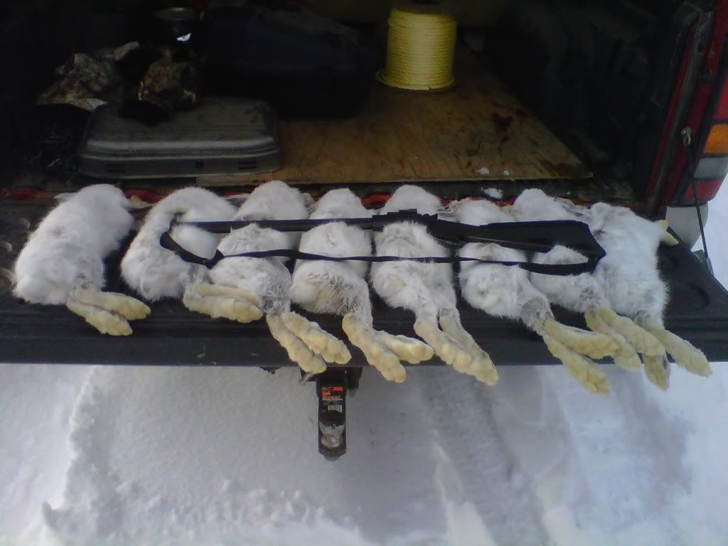 IMG00229-20111219-1246.jpg