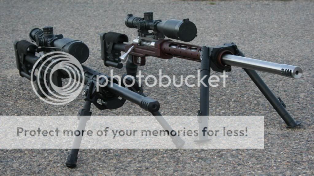 BBIPODS005_crop.jpg