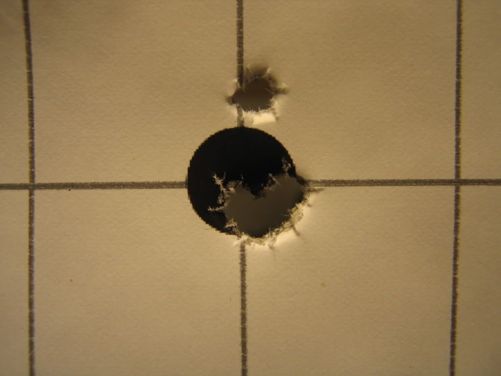 CZ452Varminttarget.jpg