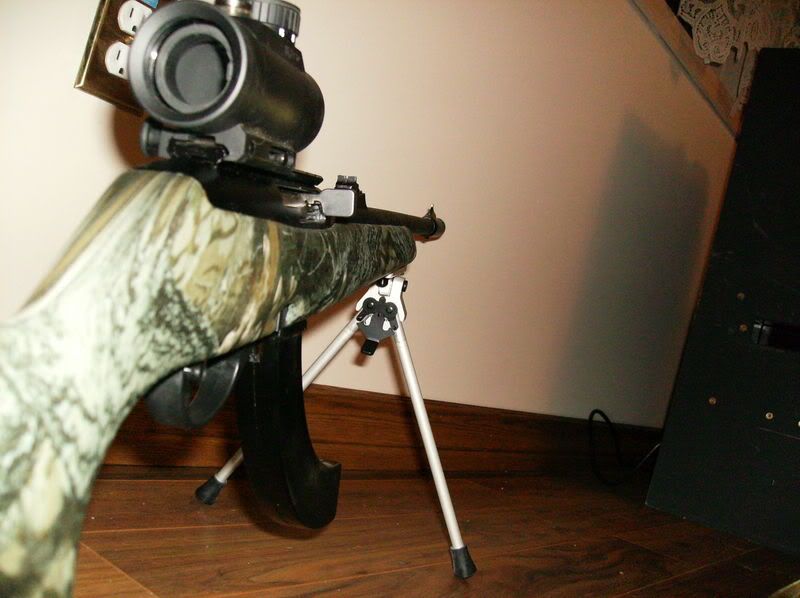 HPIM1067.jpg