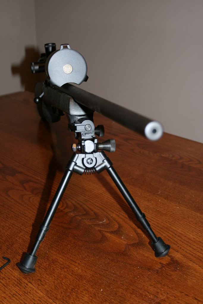 CZVarmit008.jpg