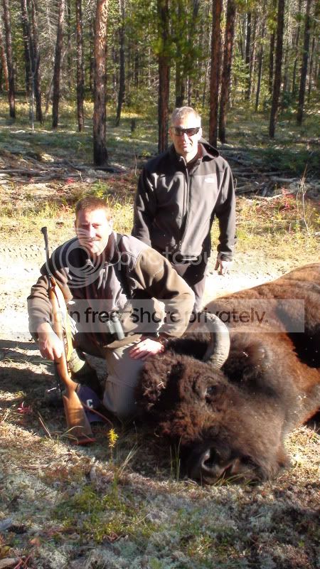 BisonHunting8.jpg