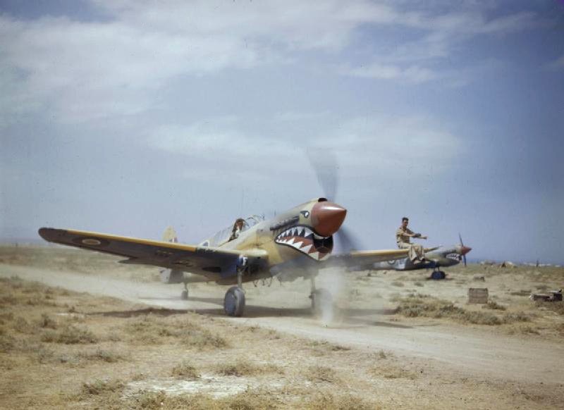 TR_000978_kittyhawk.jpg