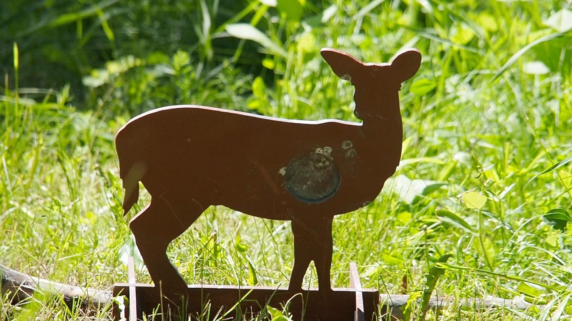 whitetail_doe_a.jpg