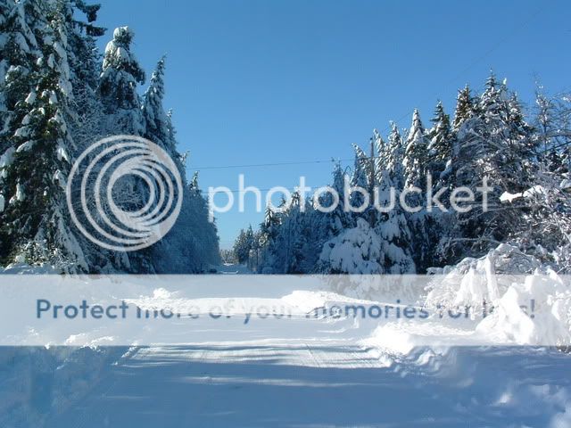 snow5.jpg