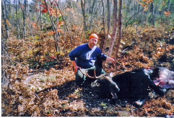 mymoose.jpg