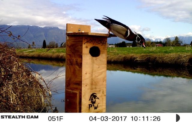 image_zpsfanb3xtm.jpeg~original