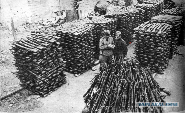 11101930-jpg.14171787