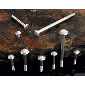 Carriage_Bolts.jpg