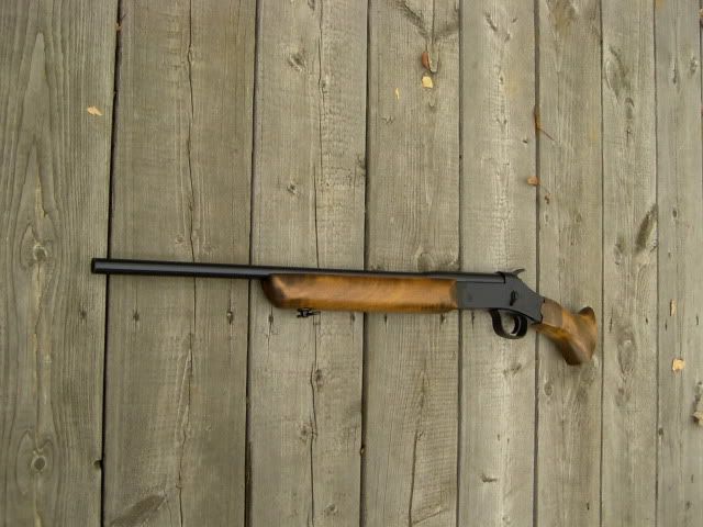 PIC03478.jpg