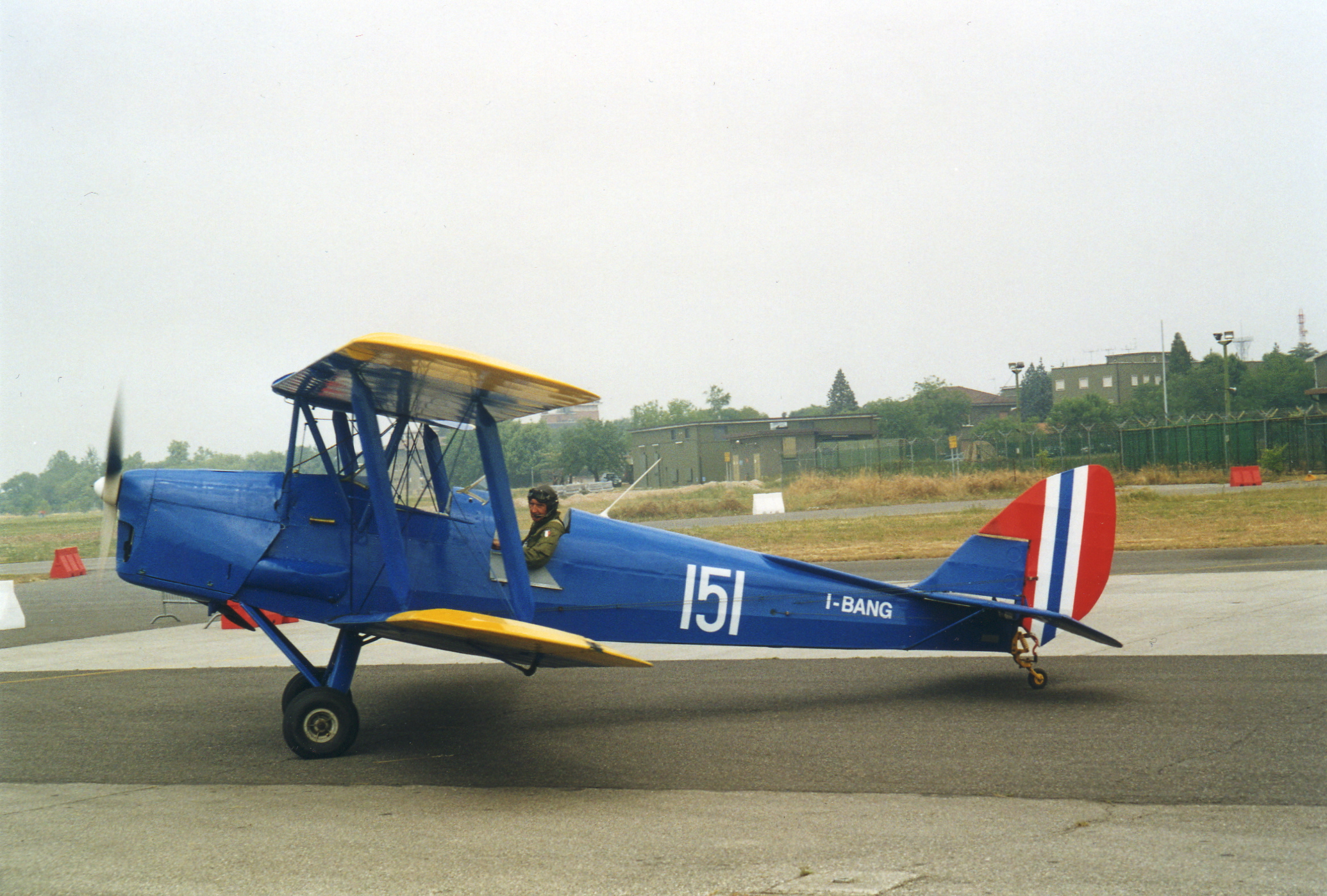 Tiger_Moth_Blue.jpg