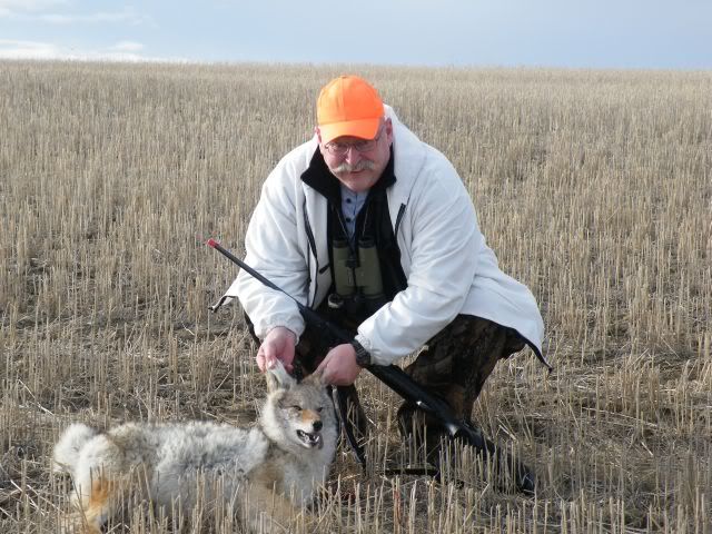 003-Coyote.jpg
