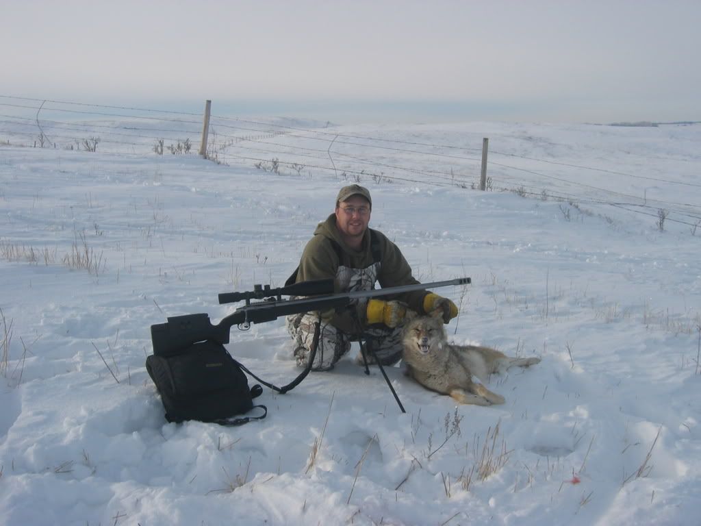 dec11yote005.jpg