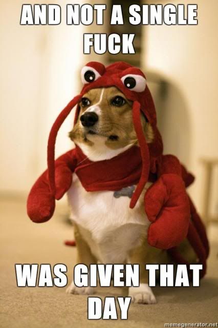 singlelobster_zpsef3a9052.jpg