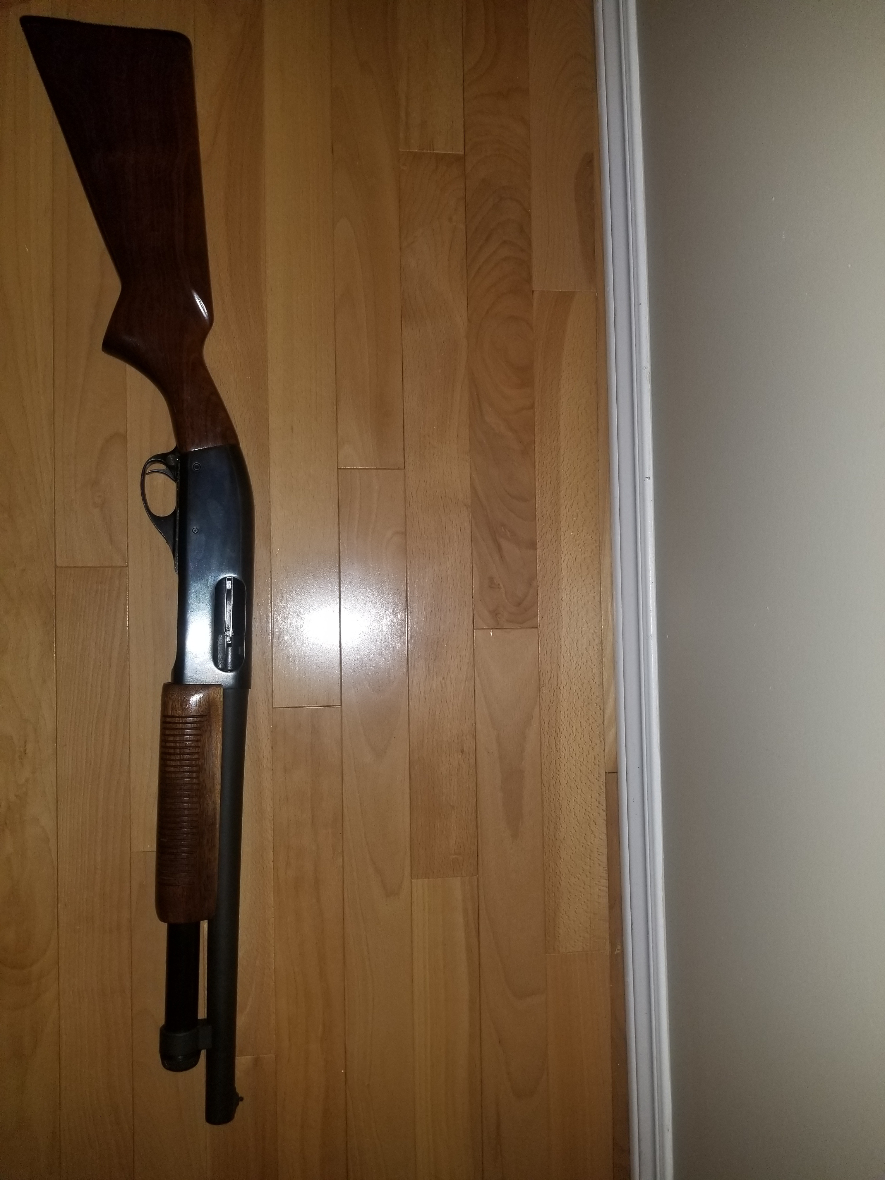 870.jpg