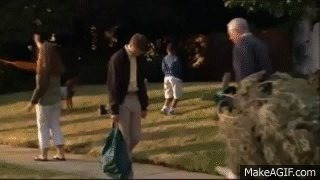 T6My7t.gif