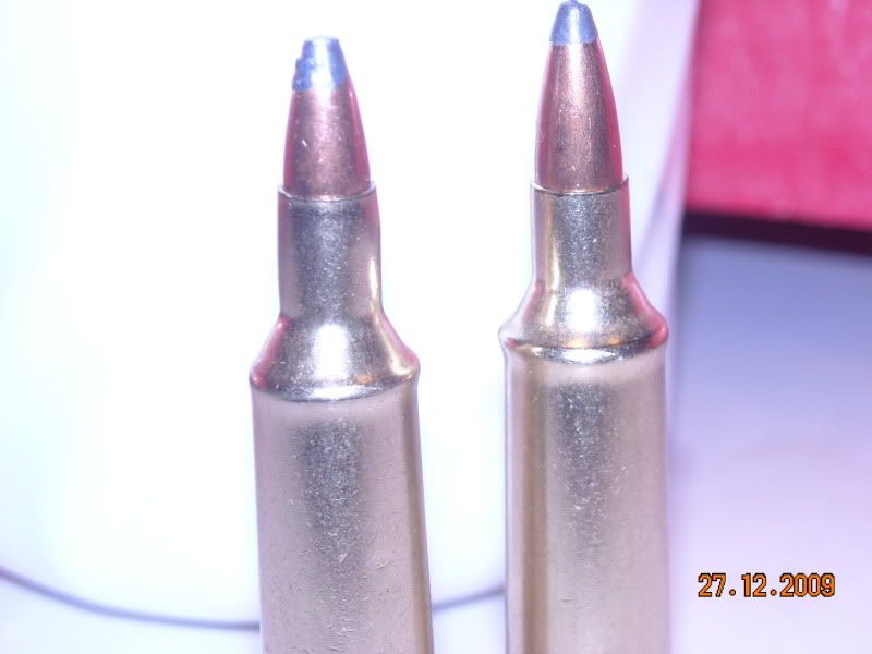 huntingpics009.jpg