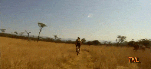 tumblr_lumqh3i7Nr1qg39ewo1_500.gif