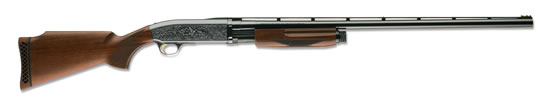 16422301BAR-ShortTrac-Oil-Finish-MID-031534-m.jpg