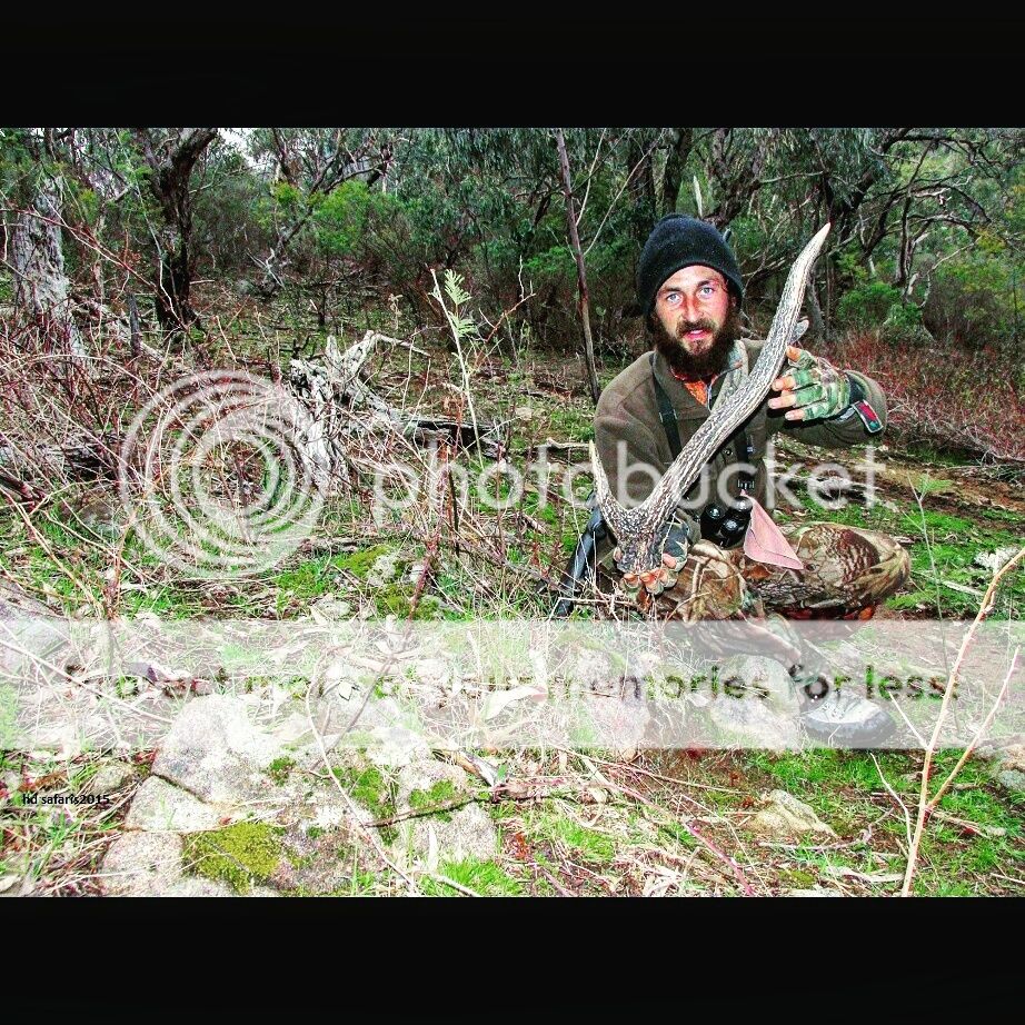 IMG_20150814_143142.jpg~original