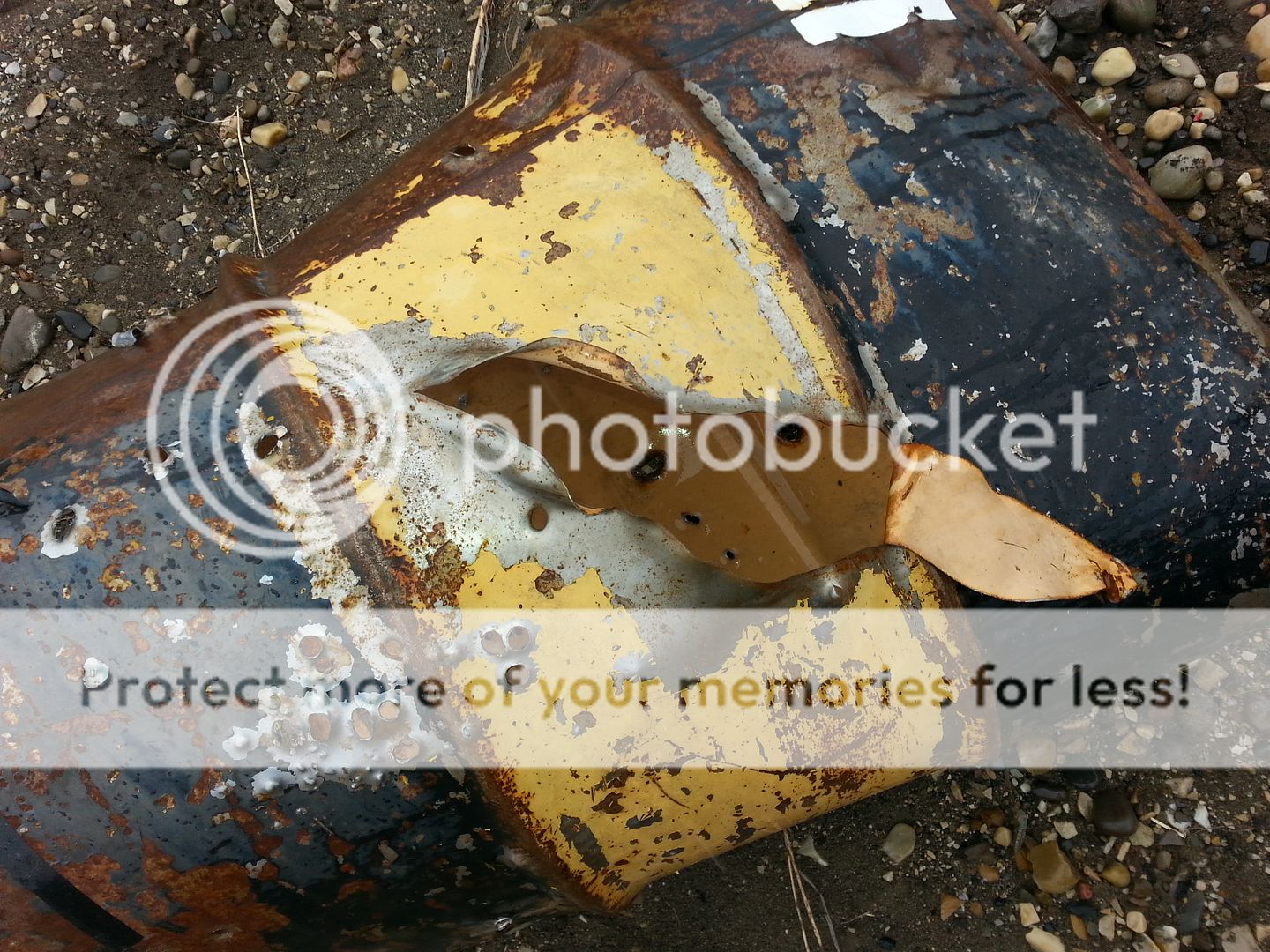 20151002_110814_zps3eyupusi.jpg~original