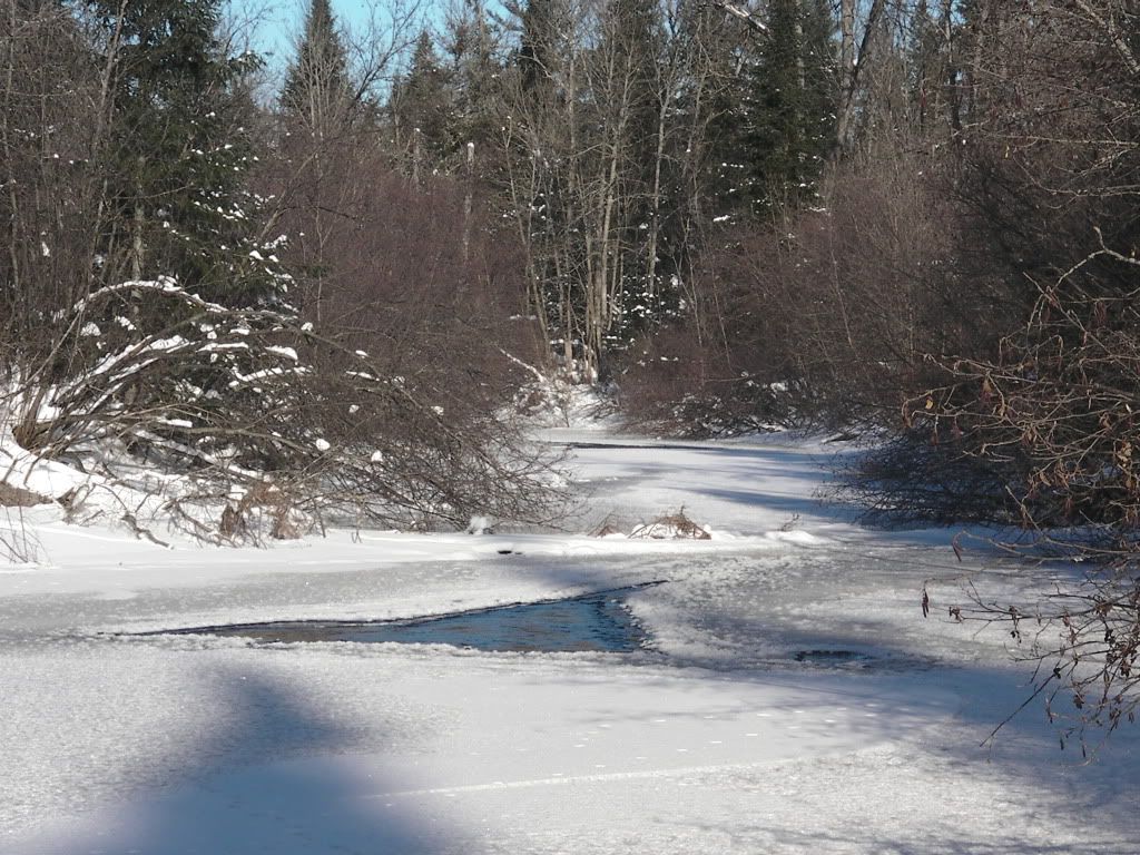 SANY0297.jpg