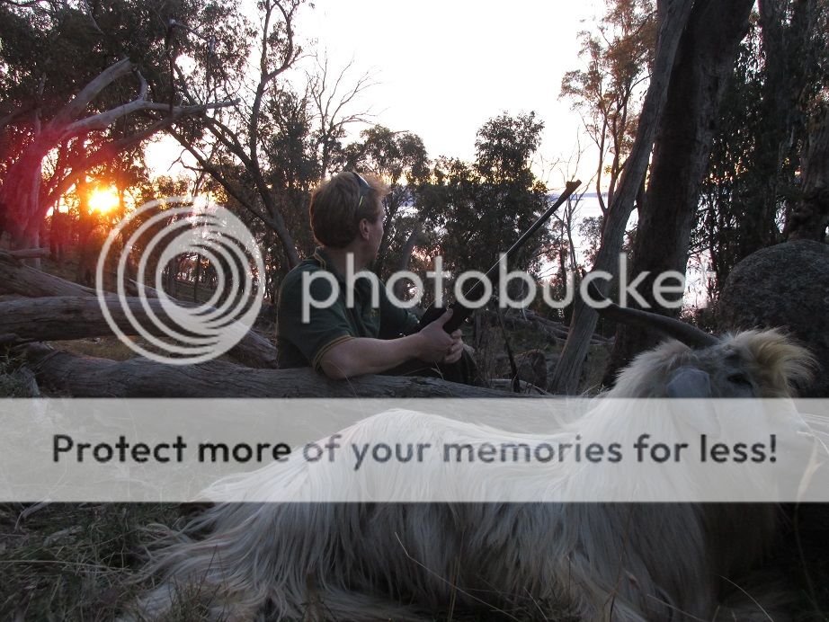 IMG_1094sunset.jpg~original