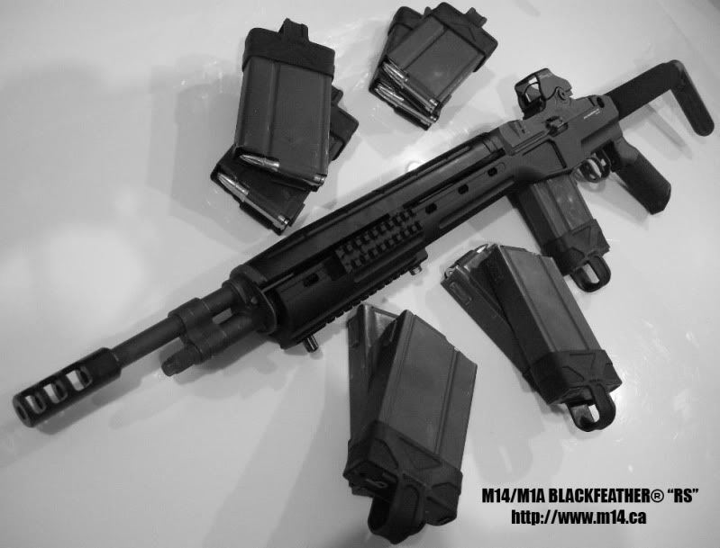blackfeather2a.jpg