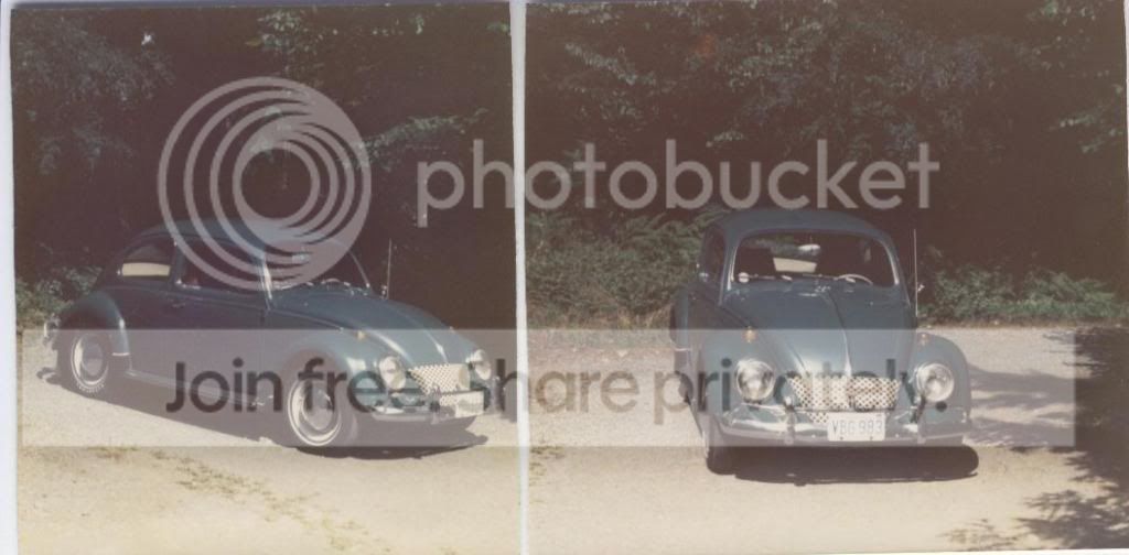 My64Beetle-1.jpg