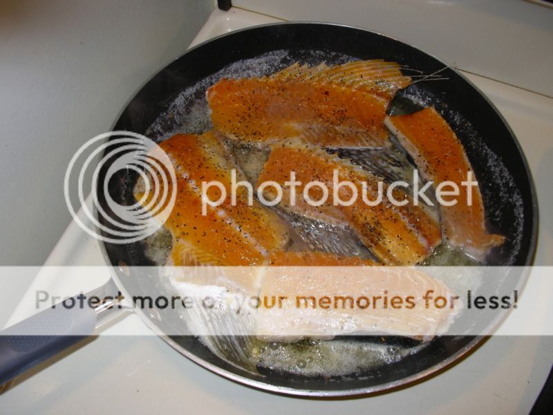 IMGP3568.jpg